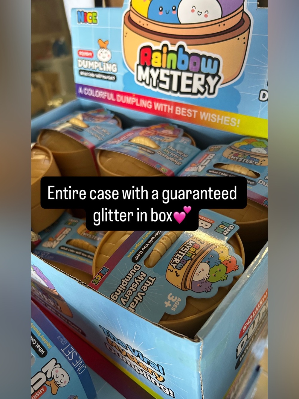 Entire Case “12” Mystery Squishy Dumplings